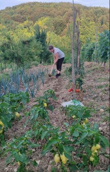 viber image 2025 09 02 22 03 57 700