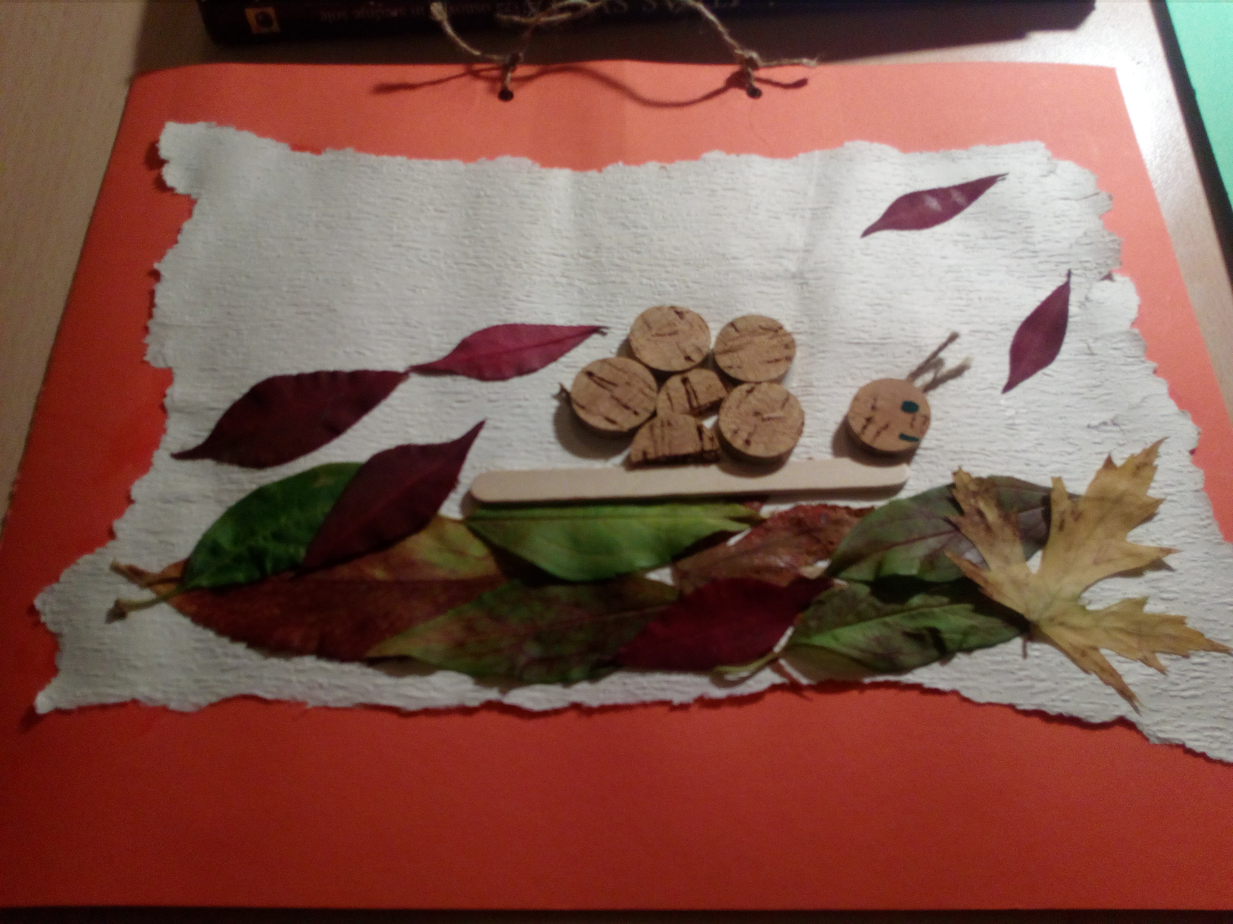 Serve Humanity Foundation